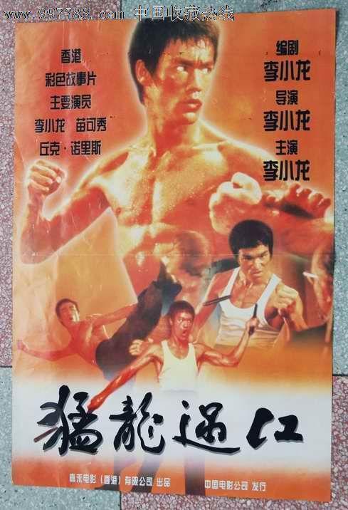怎么办假奥地利驾照